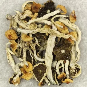 Dried Shrooms